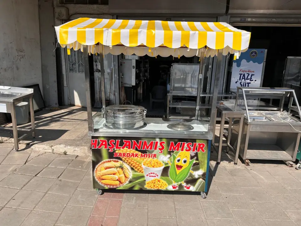 Mısır Arabası
